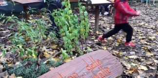 Wwf-P&G, 2000 mq di verde per gli alunni delle scuole italiane