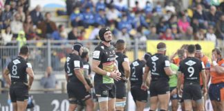 Zebre atterrate a Bologna, tamponi tutti negativi