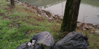 Rivarolo Mantovano, cantonieri a lavoro per recuperare i rifiuti dalla Sp 64