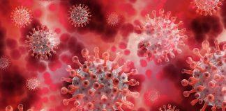 Corona-party: feste con positivi per infettarsi e ottenere il green pass, come guariti, senza vaccinarsi