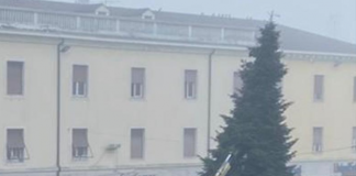 Viadana, posizionato l’albero di Natale in piazza Marconi