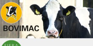 Dopo due anni Bovimac torna in Millenaria, inaugurazione venerdì con l’assessore regionale Rolfi