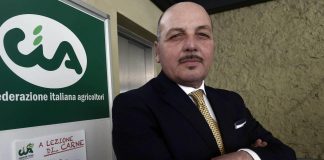 Fisco, Scanavino (Cia): ‘Polizze assicurative e fidejussioni per esercitare attività Caf’