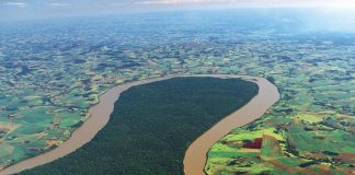 Cop26, accordo su stop deforestazione entro 2030