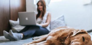 e-Commerce, su Amazon è record ricerche prodotti per animali domestici