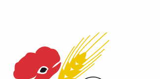 Cia Donne in Campo, “Per contrastare le violenze, rilanciare la rete dei Consultori”