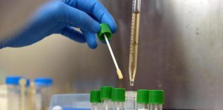 Covid, nel mantovano +56. Dosolo +6, Curtatone, Mantova, Porto e Viadana +5