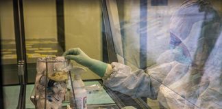 Covid, Ema: stop revisione monoclonali Lilly dopo ritiro azienda
