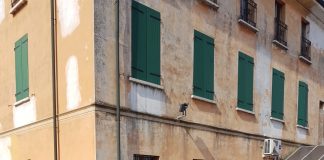 Riapre la Sabbionetana: mercato contadino di Borgochiesanuova ancora più vicino