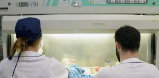 Variante africana covid: sintomi, vaccini, cosa fa Italia