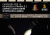 Istituita la Giornata Internazionale del Gatto Nero, no a superstizioni in strada