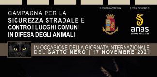 Istituita la Giornata Internazionale del Gatto Nero, no a superstizioni in strada