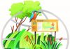 Ambiente e Salute: sul web nasce “Pianeta Parco” per le scuole Ambiente e Salute: sul web nasce “Pianeta Parco” per le scuole