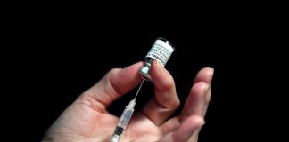 Variante sudafricana Omicron, vaccini: Pfizer e Moderna, le news