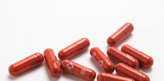 Pillola anti covid Merck: ‘bugiardino’, come funziona e quando va presa