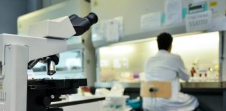 Il microbiologo: “Grazie al probiotico aumenta l’assorbimento della vitamina D”