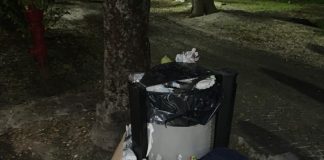 Ostiglia, rifiuti sparsi dopo la “Mostra Mercato”: la protesta del M5S