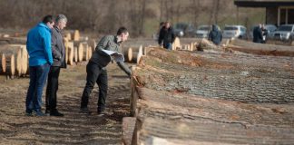 Assolegno: legno strutturale escluso dal decreto, porre rimedio