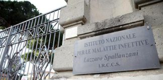 Variante africana covid, task force Spallanzani per analizzare dati