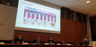 ‘Pelle 100% pulita e zero stigma’, appello malati psoriasi per cure su misura