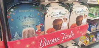 Canettone e candoro per un dolce Natale a quattro zampe? Scopriamoli insieme su Zampa e pollicino