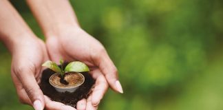 Caffè Borbone lancia una capsula amica della natura