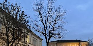 DueParole: riparte la rassegna di incontri con l’autore al Piazzalunga di Suzzara