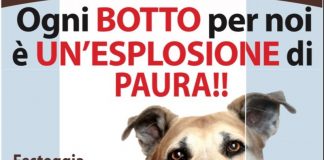 Capodanno: a Pegognaga parte la campagna anti botti per la tutela degli animali