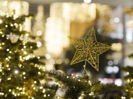 Un dicembre ricco di iniziative ed eventi a Pegognaga … aspettando il Natale