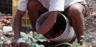 Lavoratori dell’agricoltura: in Prefettura stipula delle linee-guida per tutelare chi lavora sotto il sole