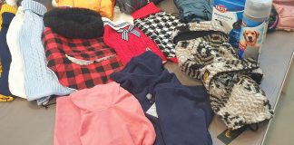 Cagnolino con il cappottino? Anche per i maschietti ci sono i capi adatti