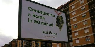 Startup: fundraising da 70mila euro per Just Hemp che punta al mln di fatturato