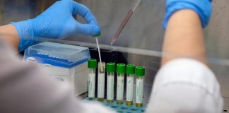 Gsk: “Dati in vitro dimostrano efficacia monoclonale contro variante Omicron”