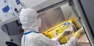 “Variante Omicron nata prima di Delta”, l’ipotesi dello scienziato