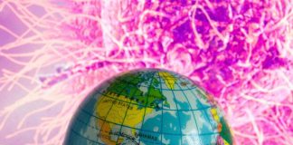 Variante Omicron, news e mappa contagi nel mondo – Guarda