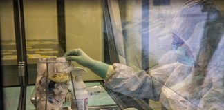 Covid, Palù (Aifa): “Presto anticorpi monoclonali a domicilio”