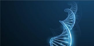Ricerca, in arrivo nano-luci colorate per decorare le sequenze del Dna