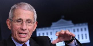 Variante Omicron, Fauci: “Bisogna fare di più con i tamponi”