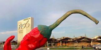 Per parco Fico +21% visitatori al mese in media tra luglio e novembre