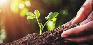 Coldiretti Mantova, dal 1° gennaio 2022 al via il nuovo regolamento europeo sul biologico