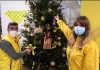Coldiretti: “Per Natale 3 milioni di famiglie sceglieranno l’albero vero”