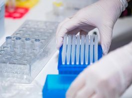 Variante Omicron ‘invisibile’, può sfuggire a tamponi