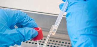 Covid oggi Fvg, 154 contagi e 10 morti: dati bollettino 27 dicembre