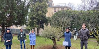 Alla Bertazzolo un ulivo per ricordare Falcone, Borsellino, gli Uomini e Donne della loro scorta