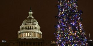 Covid Usa, Fauci: “Anche con terza dove evitare assembramenti per le feste”