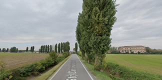 Porto Mantovano, da domani al 27 gennaio chiusa strada Circonvallazione Est per lavori di piantumazione