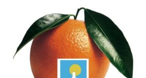 Scaietta riconfermato consigliere Airc Lombardia. Domani in piazza Marconi “Le arance della salute”