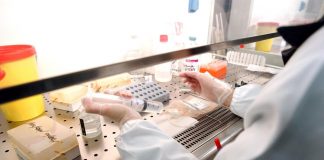 Malattie rare, La Marca (Meyer: “Con legge 167 sistema screening neonatale a regime”