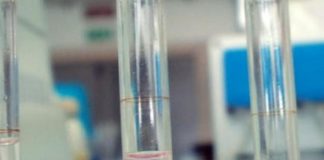 Variante Omicron, forte incremento nelle acque reflue: ecco in quali regioni