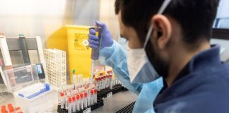 Variante Omicron, Bassetti: “Test antigenici rapidi non la rilevano, numeri falsati”